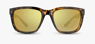 Folly Collection